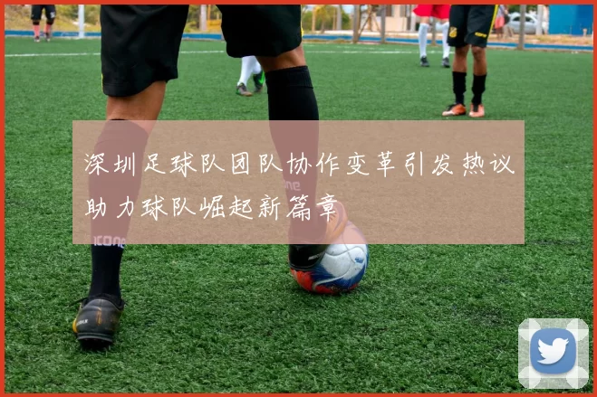 深圳足球队团队协作变革引发热议助力球队崛起新篇章