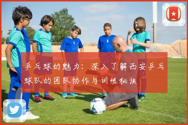 乒乓球的魅力：深入了解西安乒乓球队的团队协作与训练秘诀