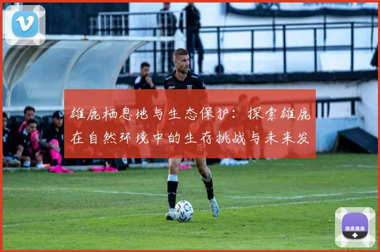 雄鹿栖息地与生态保护：探索雄鹿在自然环境中的生存挑战与未来发展潜力