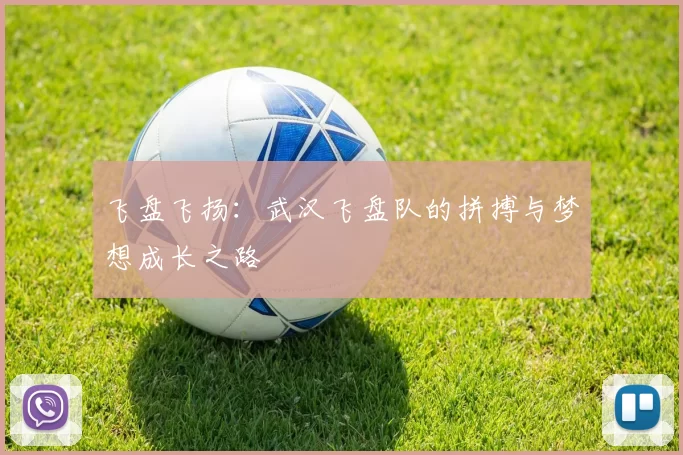 飞盘飞扬：武汉飞盘队的拼搏与梦想成长之路