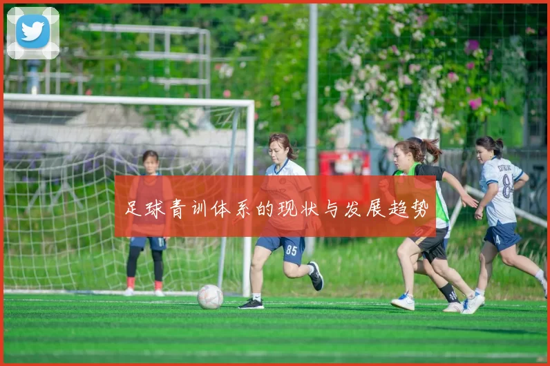足球青训体系的现状与发展趋势