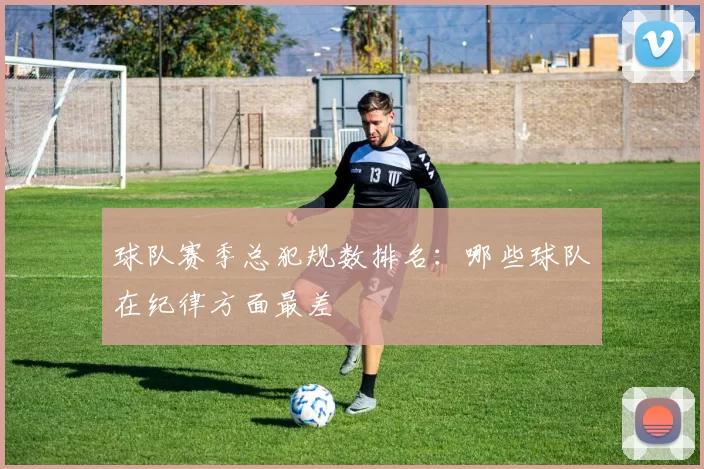 球队赛季总犯规数排名：哪些球队在纪律方面最差