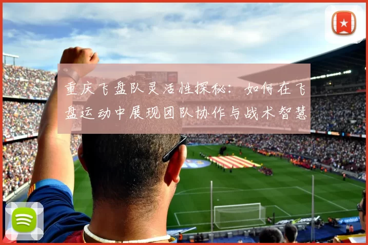 重庆飞盘队灵活性探秘：如何在飞盘运动中展现团队协作与战术智慧